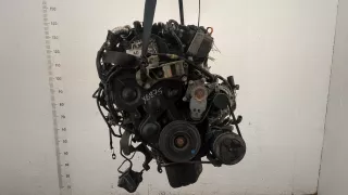 G8DA, G8DB, G8DC, G8DD, G8DE, G8DF Двигатель Ford Focus 2 restailing Арт 20454167, вид 1