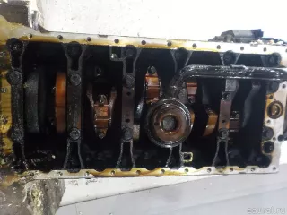 8251100 Двигатель Volvo S70 Арт E52589358, вид 13