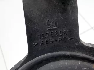12756081 Заглушка (решетка) в бампер передний Saab 9-3 2 Арт E31002075, вид 5