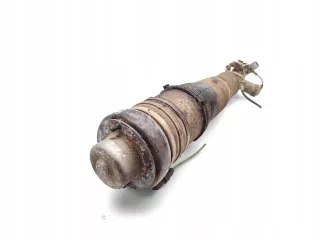 4F0616040AA Амортизатор передний правый Audi A6 C6 (S6,RS6) Арт AL17618527844, вид 5
