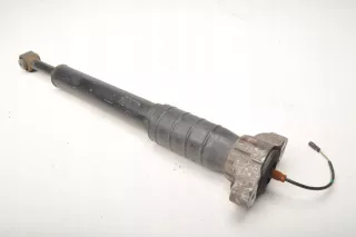 06700054570,462400008619,06700028330 Амортизатор задний левый Maserati Quattroporte Арт AL17668146069_2, вид 9