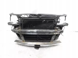  Решетка радиатора Seat Exeo Арт AL17663029948, вид 1