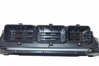 0281014354 Блок управления двигателем Renault Laguna 3 Арт AL17645969085, вид 1