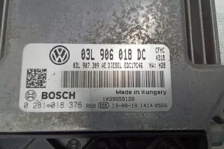 03L906018DC Блок управления двигателем Volkswagen Caddy 3 Арт AL17647285386, вид 4