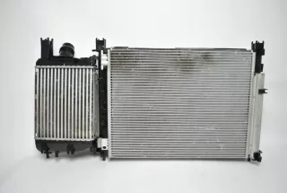 214100078R,921001697R,144961381R Кассета радиаторов Renault Duster 1 Арт AL17741563081, вид 2