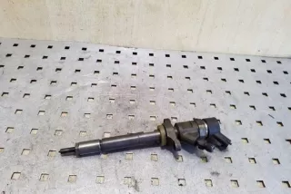 0445110259 Форсунка Ford Focus 2 Арт AL17593868800_2, вид 1