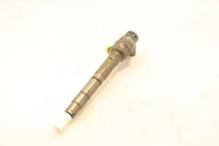 0445110369 Форсунка Volkswagen Passat B7 Арт AL17619324043, вид 1