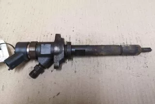 0445110259 Форсунка Ford Focus 2 Арт AL17645739962, вид 1