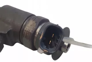 0445110340 Форсунка Citroen C5 2 Арт AL17646980468_3, вид 4