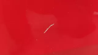 5P0839462A Стеклоподъемник правый задний Seat Altea Арт 11383283, вид 4