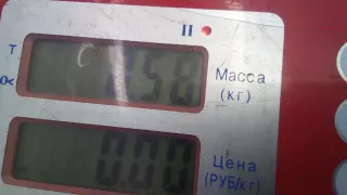0445110311 Форсунка дизельная Peugeot 308 1 1.6л Арт 4EP26AL04, вид 4