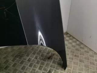 AMD189668 Капот Land Rover Evoque 2 Арт AL17482137925, вид 9