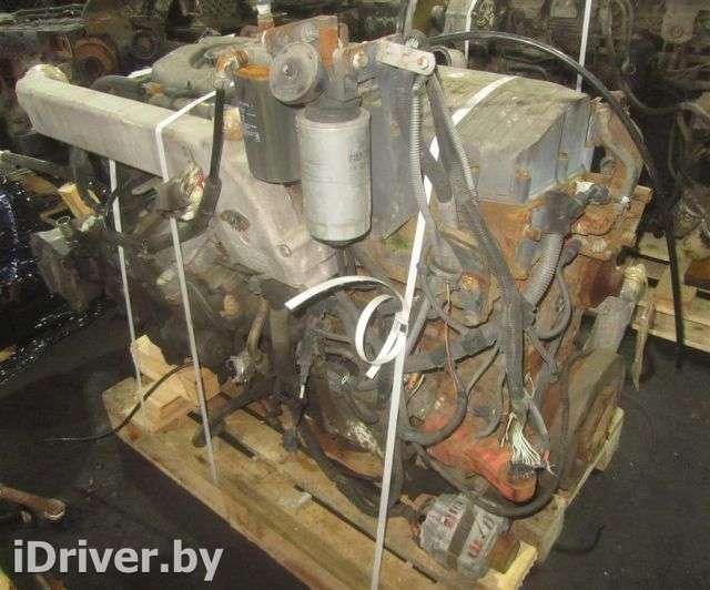 Двигатель  Iveco Trakker   2006г. F2BE0682D  - Фото 1