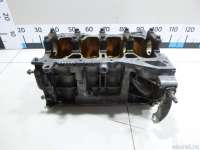 110001KT0G Блок двигателя к Nissan Juke Арт E48298053