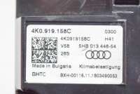 Блок управления печки/климат-контроля Audi A6 C8 (S6,RS6) 2019г. 4K0919158C, 5HB013446 , art7916682 - Фото 3