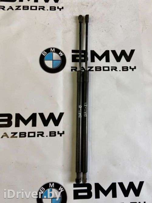 Амортизатор багажника BMW X5 E53 2005г. 51248402405, 8402405 - Фото 1