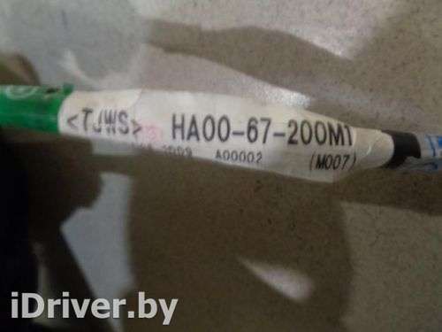 HA0067200M1 Проводка двери к Haima 3 Арт  - Фото 3