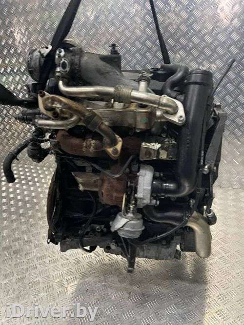 BVK Двигатель к Volkswagen Sharan 2 Арт 29706 - Фото 4