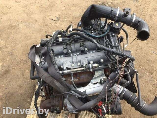 Двигатель  Iveco Daily 6 3.0  2016г. F1CE0441A  - Фото 1