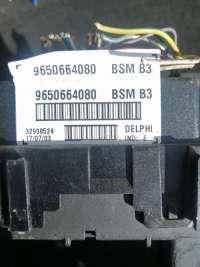 BSM B3,  9650664080 Блок управления BSM Peugeot 307 (DELPHI, BSM B3) Арт R0118, вид 1
