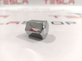 1027010-02-A Колпачок литого диска к Tesla model X Арт 9900268