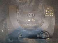  Декоративная крышка двигателя к Hyundai Sonata (EF)  Арт 0000_2505191555926