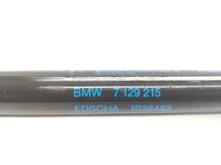 Амортизатор крышки багажника (3-5 двери) BMW 3 E90/E91/E92/E93 2010г. 7129215 , art3023223 - Фото 2