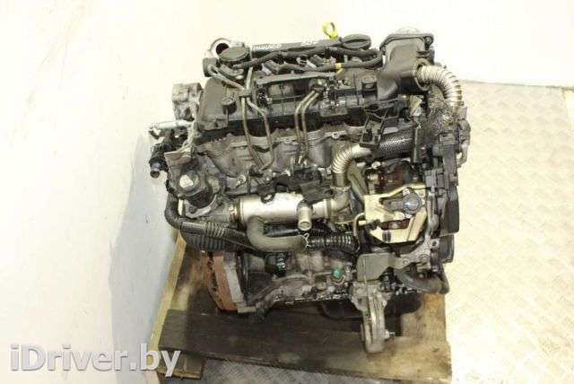 Двигатель  Citroen Xsara Picasso 1.6 Hdi Дизель, 2006г. 9HX  - Фото 1