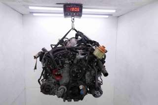 Двигатель  Suzuki Grand Vitara JT 3.2  Бензин, 2010г. N32A  - Фото 7