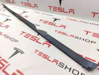 1012217-00-F Молдинг (накладка кузовная) к Tesla model S Арт 9912776