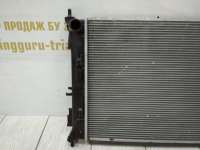 Радиатор охлаждения двигателя Hyundai Creta 1 2021г. 25310BW000 - Фото 2