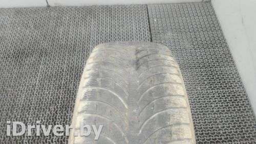 Зимняя шина Michelin LATITUDE ALPIN 225/65 R17 1 шт. Фото 1