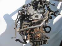 Двигатель BKD 2.0TDI Skoda Octavia A5 2.0  Дизель, 2004г. BKD,AZV,JLU  - Фото 4