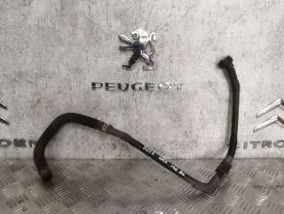  Патрубок (трубопровод, шланг) Peugeot 5008 Арт H248208