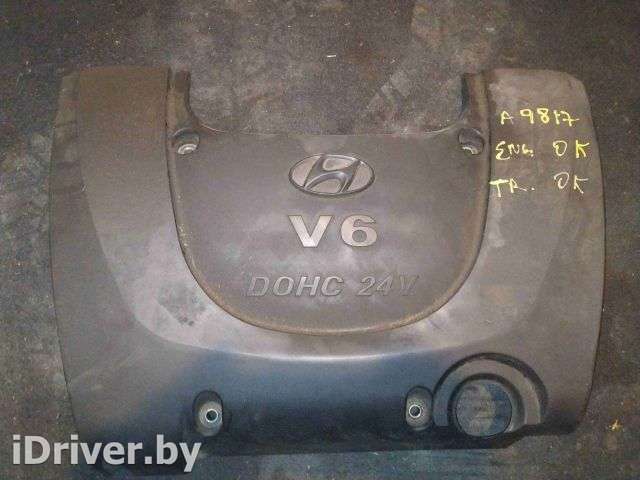 Декоративная крышка двигателя Hyundai Sonata (EF) 2003г.  - Фото 1