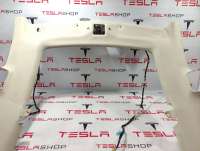 1002472-00-G потолок к Tesla model S Арт 9910377