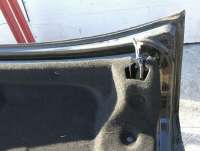Крышка багажника (дверь 3-5) Lexus IS 2 2007г.  - Фото 14