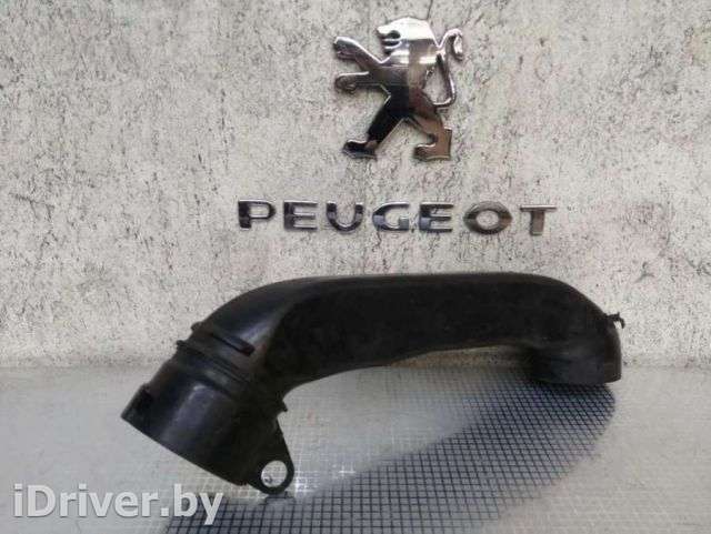 Воздухозаборник Peugeot 307 2005г.  - Фото 1