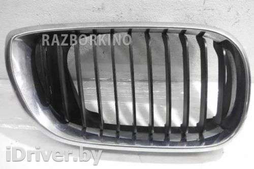 Решетка радиатора BMW 3 E46 1999г. 51137030546 - Фото 1