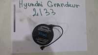  Крышка топливного бака к Hyundai Grandeur HG Арт 00001061498