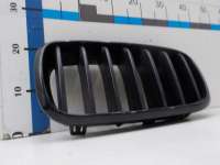 Решетка радиатора BMW X6 F16  51137316053 - Фото 4