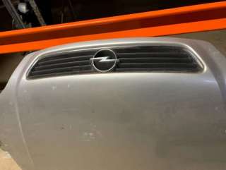  Решетка капота к Opel Astra G Арт 34542031