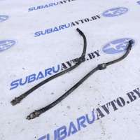  Шланг тормозной к Subaru Legacy 6 Арт 46733418