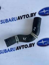  Патрубок радиатора к Subaru XV 2 Арт 63719783
