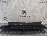  Воздухозаборник Peugeot 3008 1 Арт H69187030