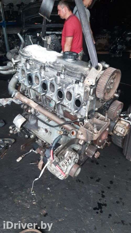 Двигатель  Fiat Ducato 2 2.8  Дизель, 1997г. 8140.43S  - Фото 1