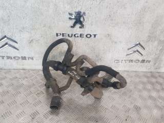  Патрубок (трубопровод, шланг) к Peugeot 508 Арт H28731994