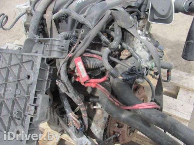 Проводка двигателя Renault Megane 2 2003г.  - Фото 1