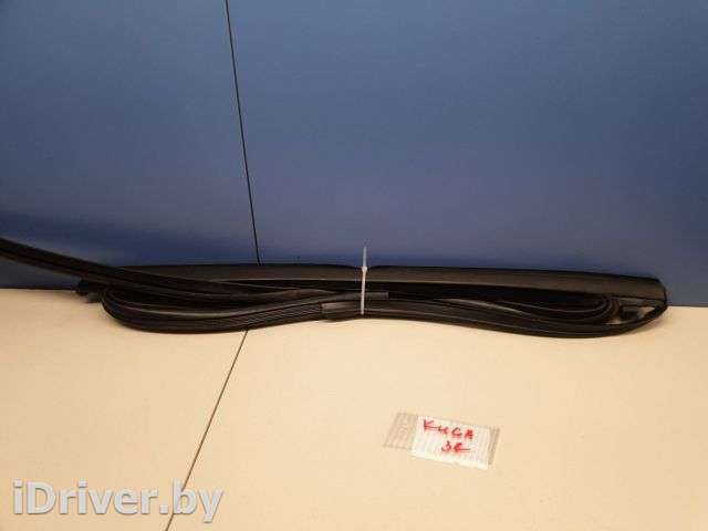 Уплотнитель стекла двери задний правый Ford Kuga 2 2012г. 2012594 - Фото 1