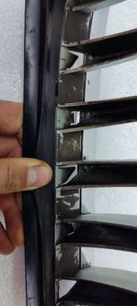 Решетка радиатора BMW X5 E53 2006г. 51317157687 - Фото 13